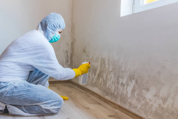 Hvac And Air Duct Mold Remediation inspection of HVAC system in Berlin